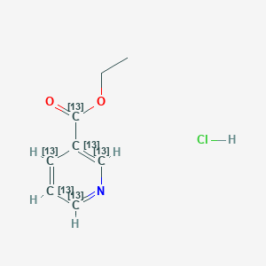 Ethyl Nicotinate-1,2',3',4',5',6'-13C6 Hydrochloride SaltͼƬ