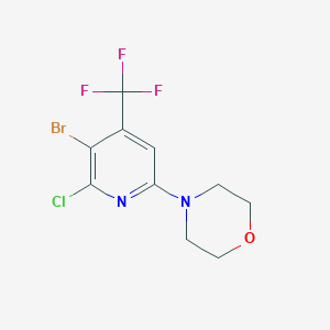 4-[5-Bromo-6-chloro-4-(trifluoromethyl)pyridin-2-yl]morpholineͼƬ