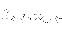 CEF19,Epstein-Barr Virus latent NA-3A 458-466ͼƬ