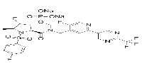 TRPA1 Antagonist 1ͼƬ