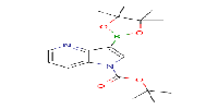 tert-butyl3-(tetramethyl-1,3,2-dioxaborolan-2-yl)-1H-pyrrolo[3,2-b]pyridine-1-carboxylateͼƬ