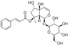 6-EpiharpagosideͼƬ