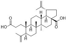 3,4-Secolupa-4(23),20(29)-diene-3,28-dioic acidͼƬ