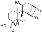 ent-11-Hydroxy-15-oxokaur-16-en-19-oic acidͼƬ