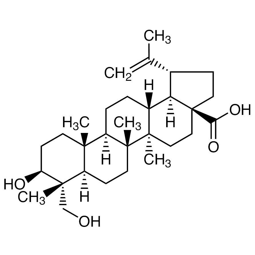 23-Hydroxybetulinic Acid