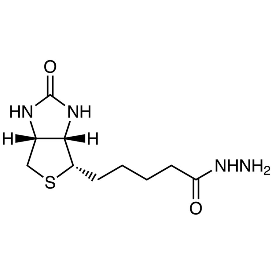 Biotin Hydrazide