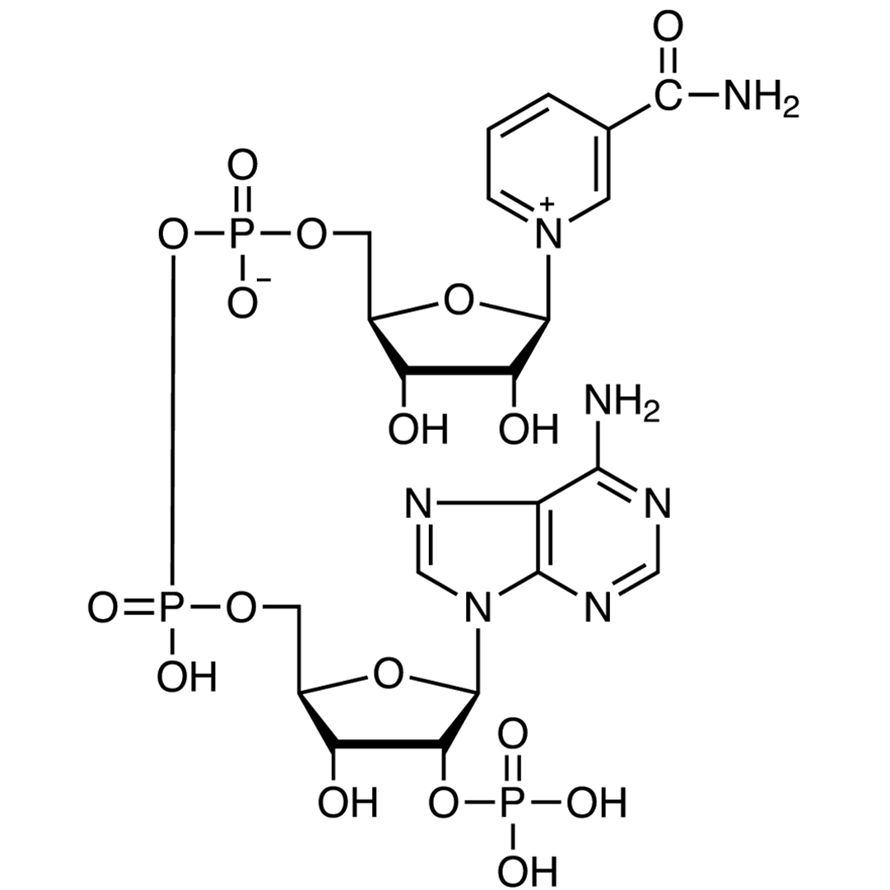 β-Nicotinamide Adenine Dinucleotide Phosphate [for Biochemical Research]