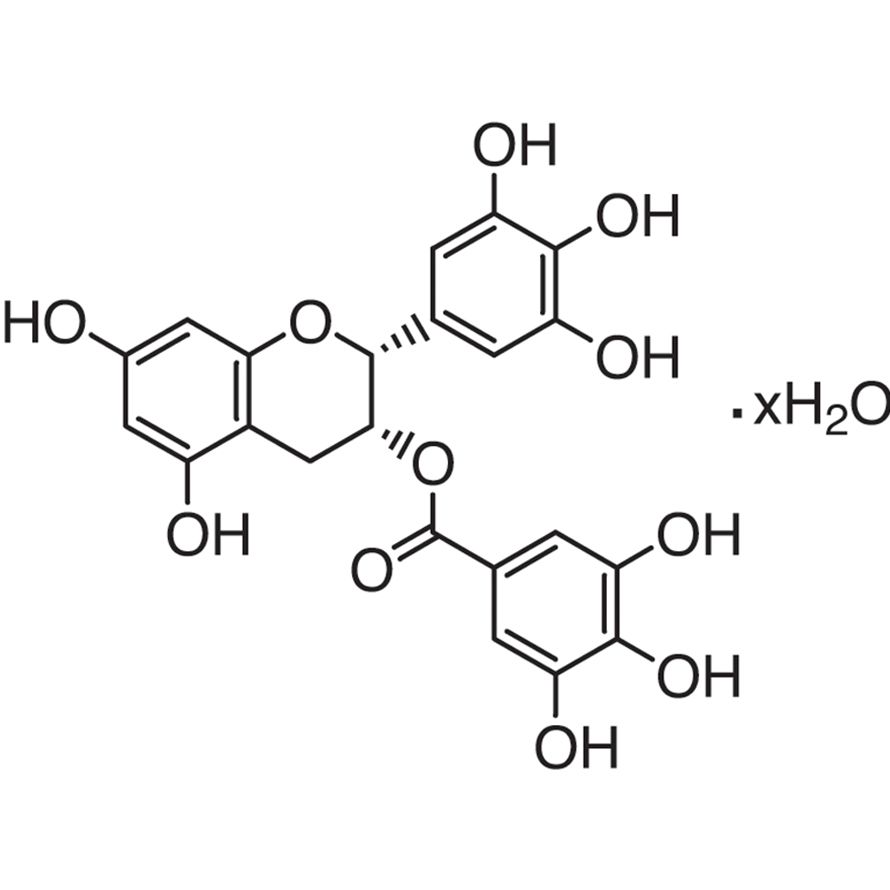 (-)-Epigallocatechin Gallate Hydrate