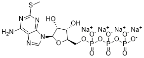 2-Methylthioadenosine Tiphosphate Tetrasodium SaltͼƬ