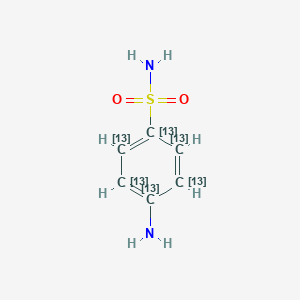 ǰ-13C6ͼƬ