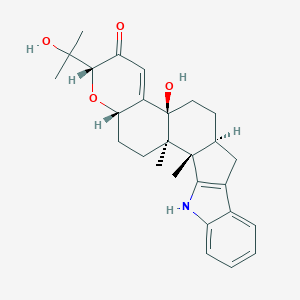 PaxillineͼƬ