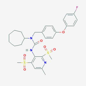 FR-190809ͼƬ