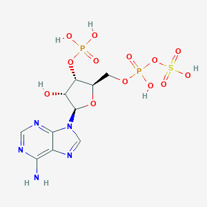 3'-Phosphoadenosine 5'-phosphosulfate [(2R,3S,4R,5R)-5-(6-Aminopurin-9-yl)-4-hydroxy-3-phosphonooxyoxolan-2-yl]methyl sulfo hydrogen phosphateͼƬ