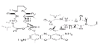 7-Aminoactinomycin D(7-AAD)ͼƬ