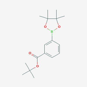 3-t-Butoxycarbonylphenylboronicacid,pinacolesterͼƬ