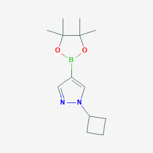 N---4-ƵĴͼƬ