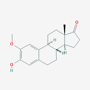 2-MethoxyestroneͼƬ