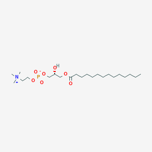 LysoPC(14:0/0:0)ͼƬ