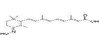 ATRA-hydroxyiminoͼƬ