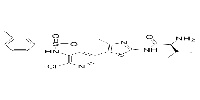 CHMFL-PI3KD-317ͼƬ