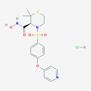 Prinomastat hydrochlorideͼƬ