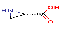 (2S)-aziridine-2-carboxylicacidͼƬ