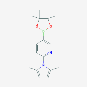 2-(2,5-Dimethyl-1H-pyrrol-1-yl)-5-(4,4,5,5-tetramethyl-1,3,2-dioxaborolan-2-yl)pyridineͼƬ