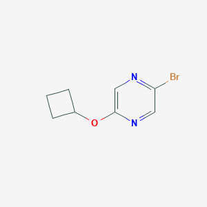 2-Bromo-5-cyclobutoxypyrazineͼƬ