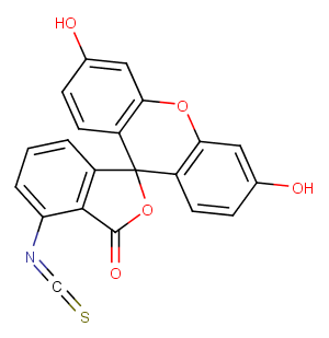 6-FITCͼƬ