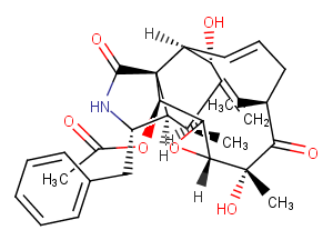 19,20-Epoxycytochalasin DͼƬ