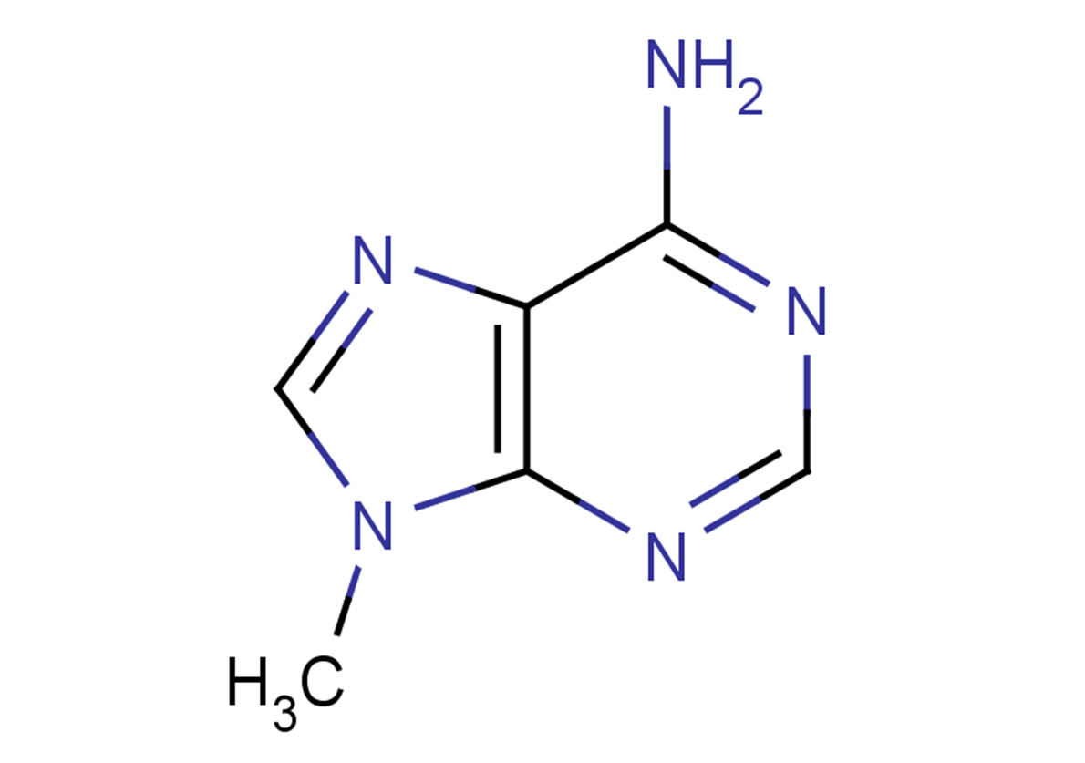 9-MethyladenineͼƬ