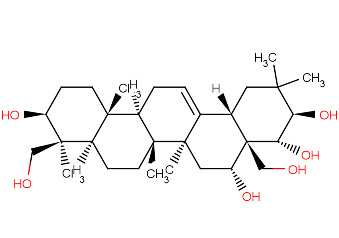 ProtoescigeninͼƬ