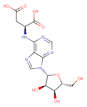 SuccinyladenosineͼƬ