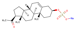 Pregnenolone monosulfate sodium saltͼƬ