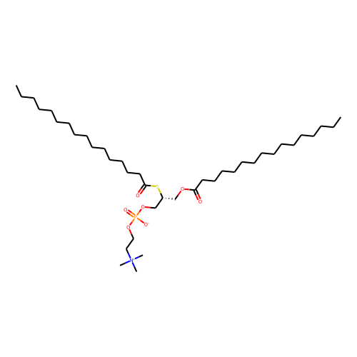 Palmitoyl thio-PCͼƬ