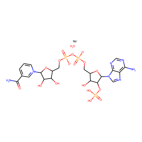 NADP+(sodium salt hydrate)ͼƬ