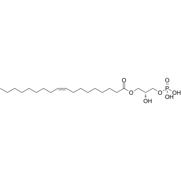 1-Oleoyl Lysophosphatidic AcidͼƬ