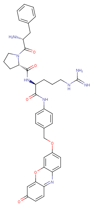 Phe-Pro-Arg-PABA-ResorufinͼƬ