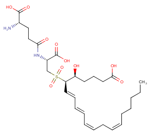 Leukotriene F-4 sulfoneͼƬ