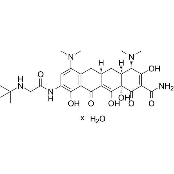 Tigecycline hydrateͼƬ