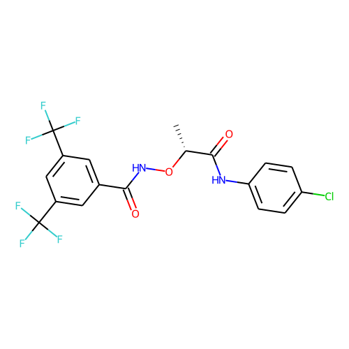 (R)-CCG-1423ͼƬ