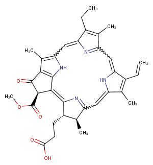 Pheophorbide aͼƬ