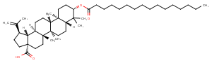 Betulinic acid palmitateͼƬ