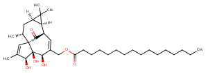 Ingenol 20-palmitateͼƬ