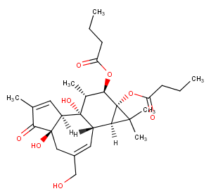 Phorbol 12,13-dibutyrateͼƬ