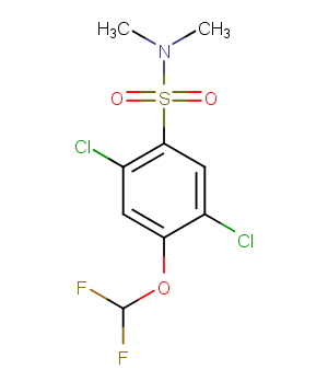 2,5-dichloro-4-(difluoromethoxy)-N,N-dimethylbenzene-1-sulfonamideͼƬ