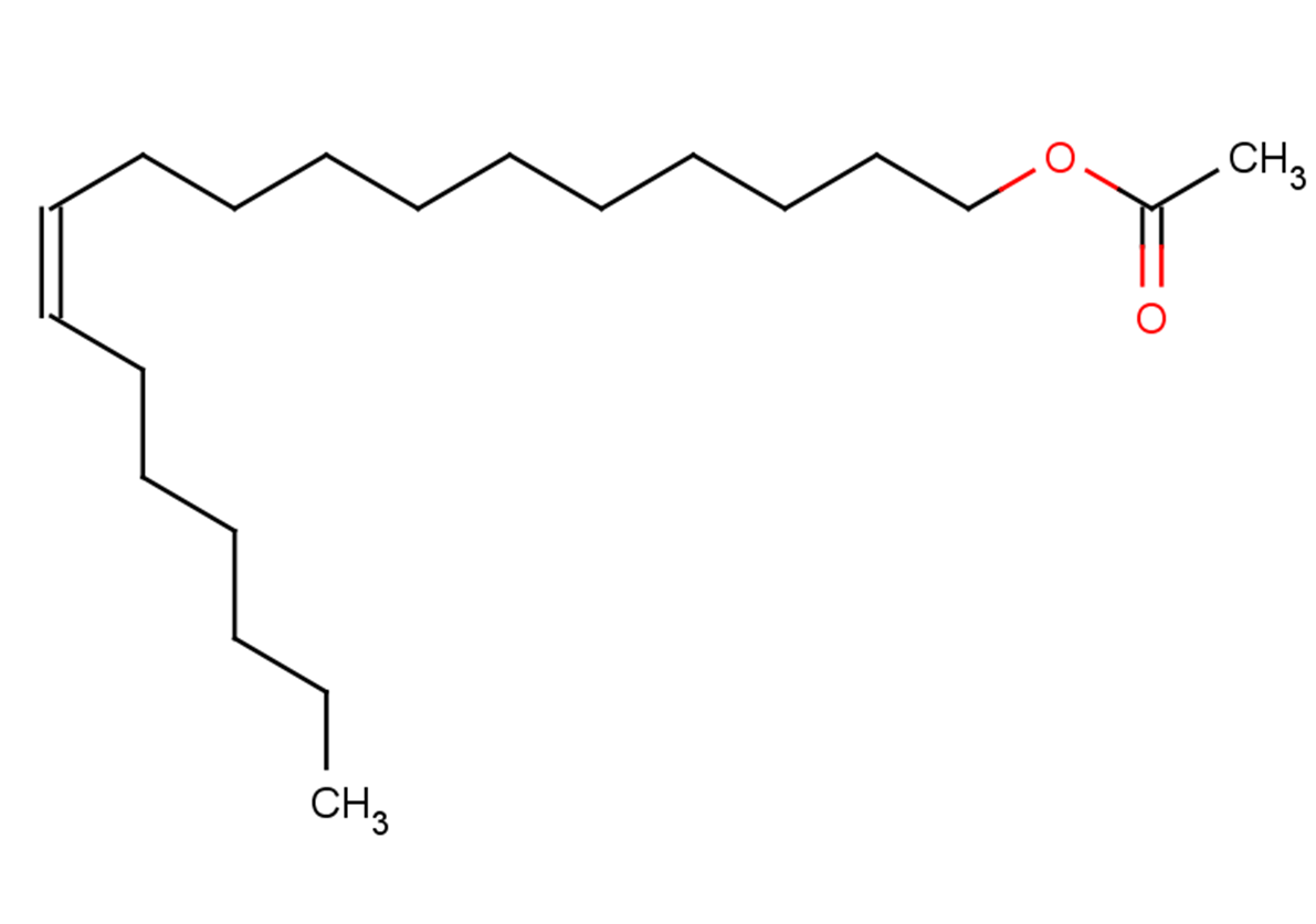 11-cis-Vaccenyl acetateͼƬ