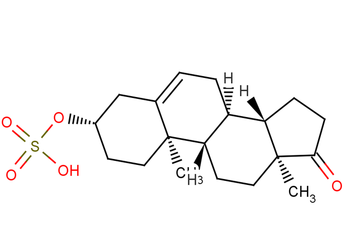 Dehydroepiandrosterone sulfateͼƬ