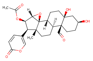 19-OxocinobufotalinͼƬ