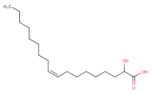 (Rac)-Idroxioleic acidͼƬ